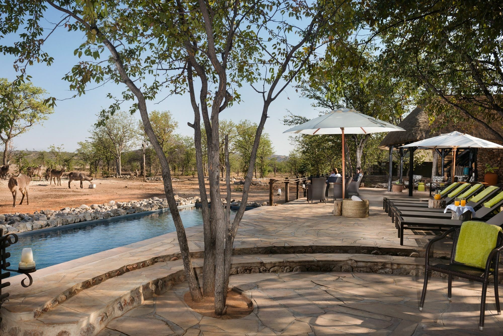 Ongava Tented Camp - All-Inclusive Okaukuejo Exteriör bild